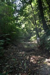 19-Hiking through the jungle